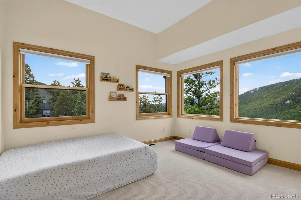 69 Spruce Court Evergreen CO 80439