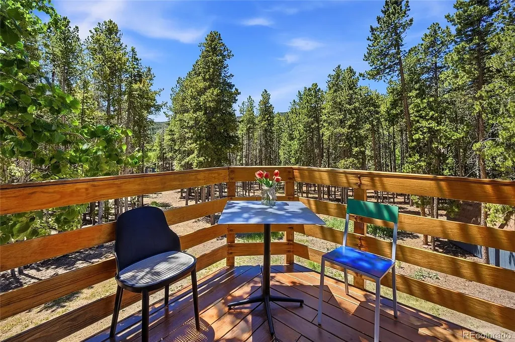 31556 Griffin Drive Conifer CO 80433