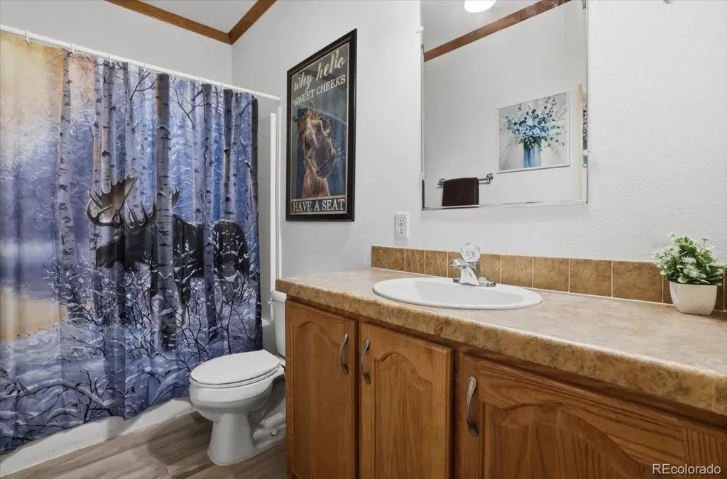 204 Crooked Creek Road Fairplay CO 80440