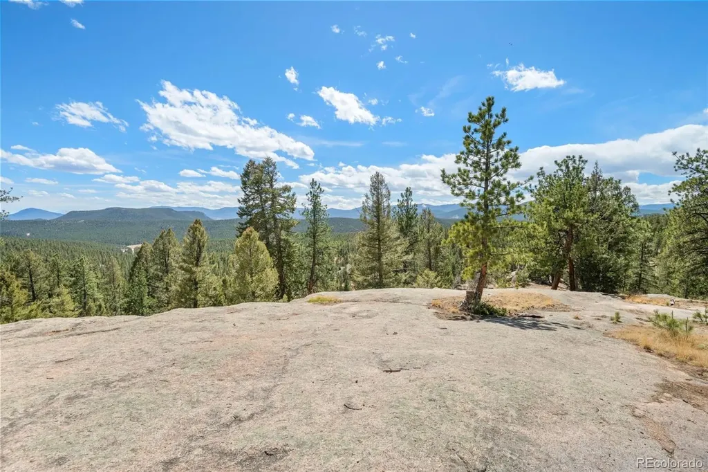 237 Road B Pine CO 80470