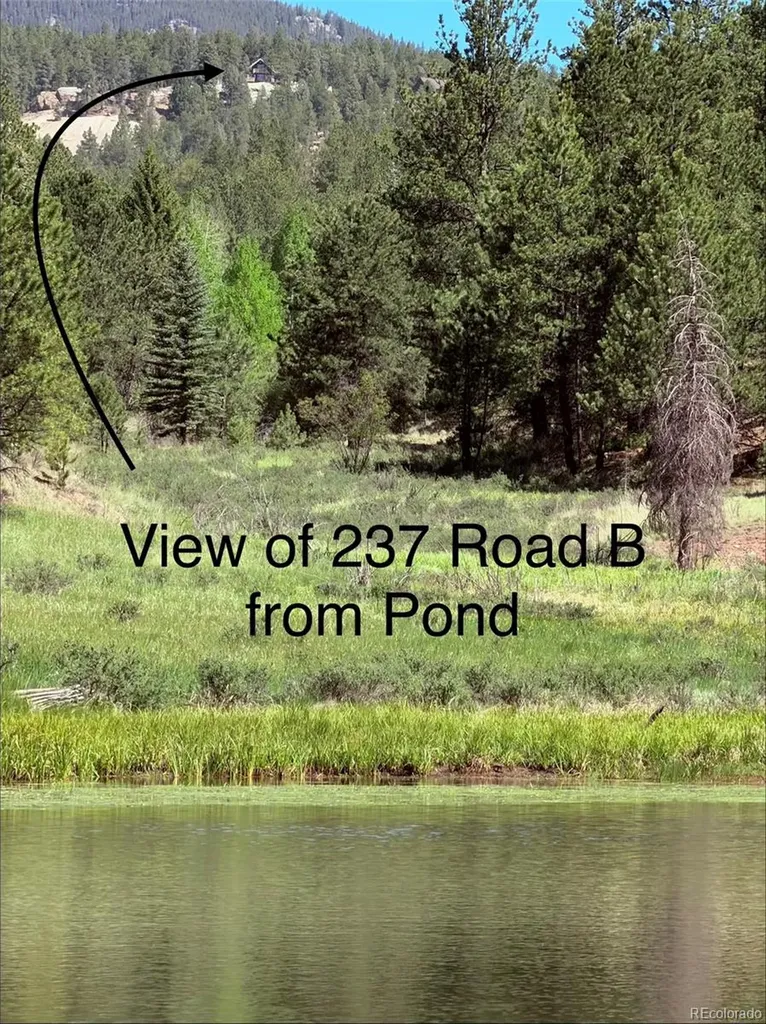 237 Road B Pine CO 80470