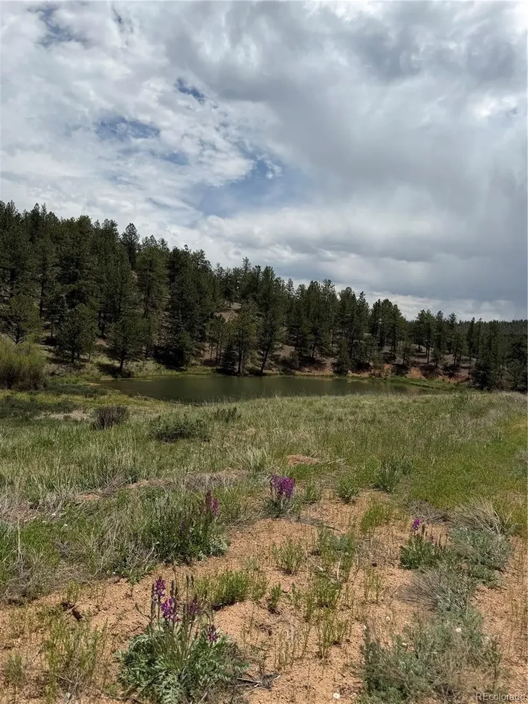 237 Road B Pine CO 80470