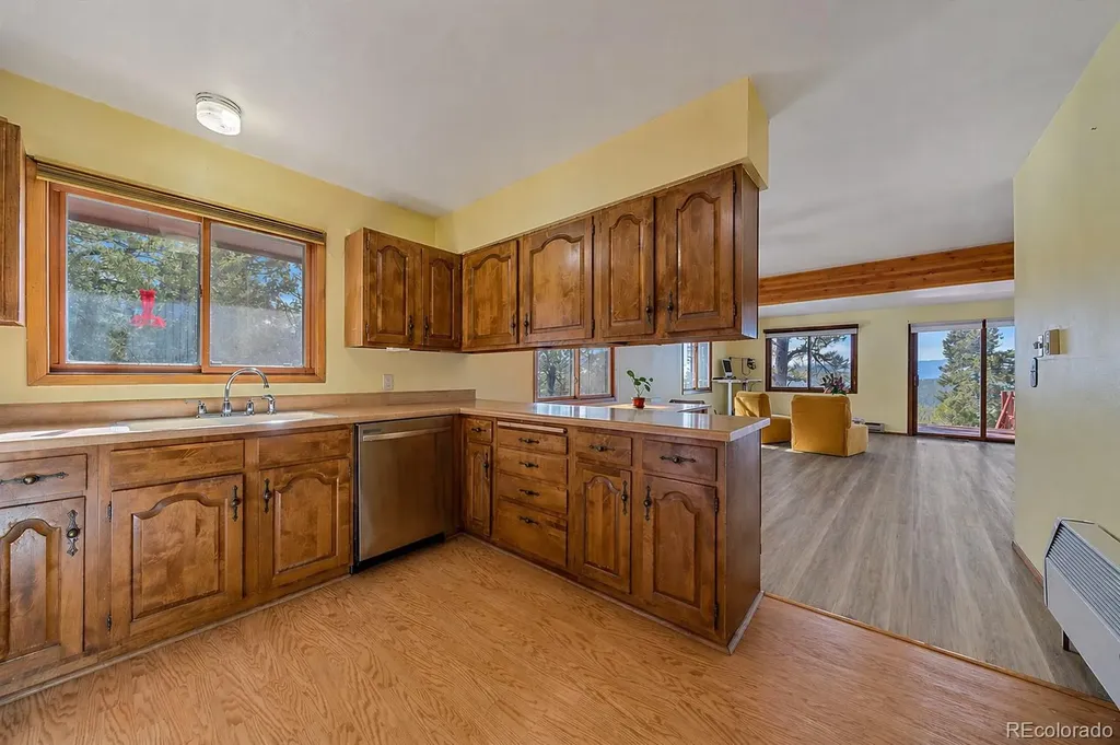 237 Road B Pine CO 80470
