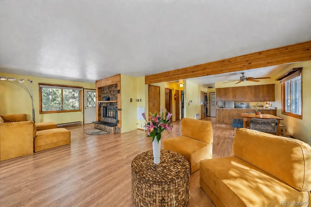 237 Road B Pine CO 80470