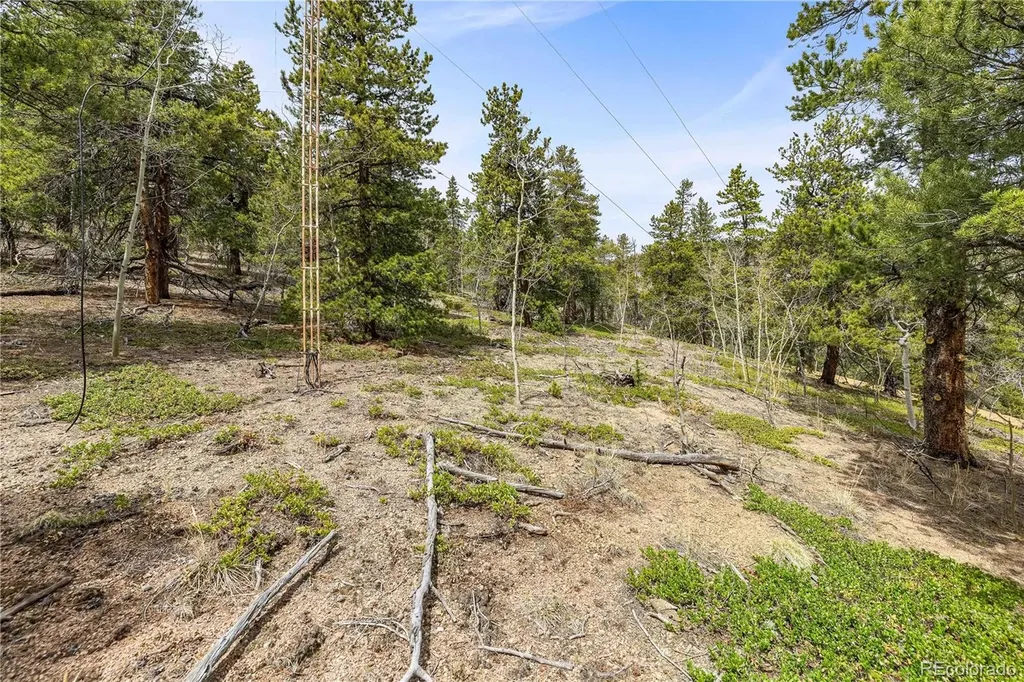 125 Road P62 Bailey CO 80421
