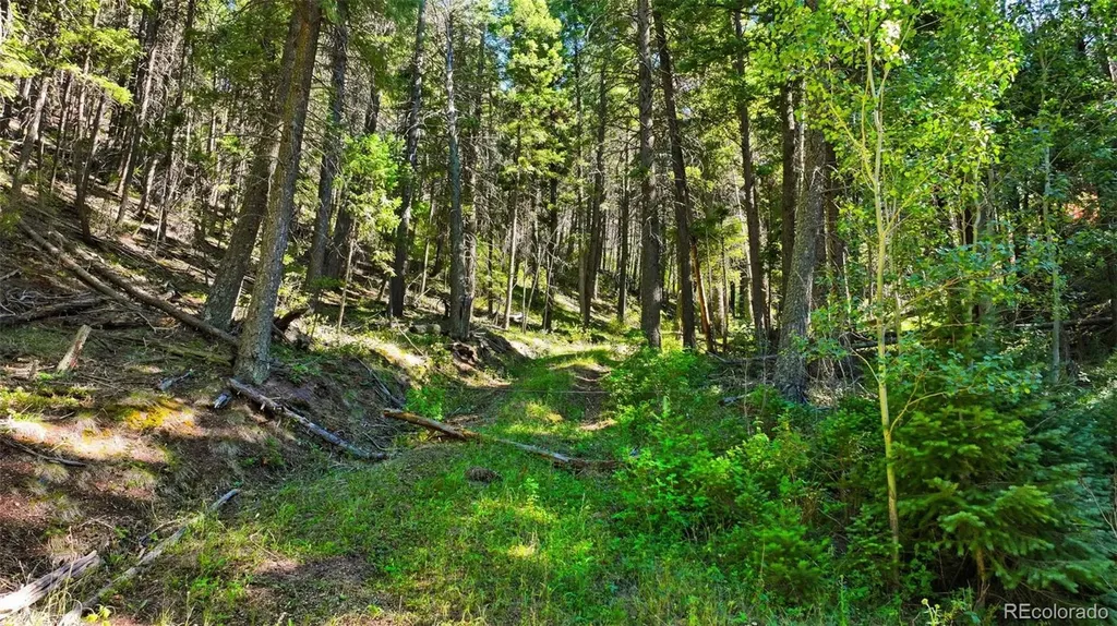 13446 S Firedog Way Larkspur CO 80118