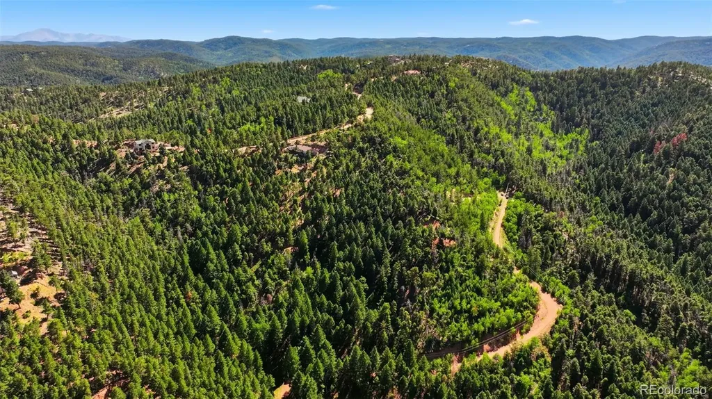 13446 S Firedog Way Larkspur CO 80118