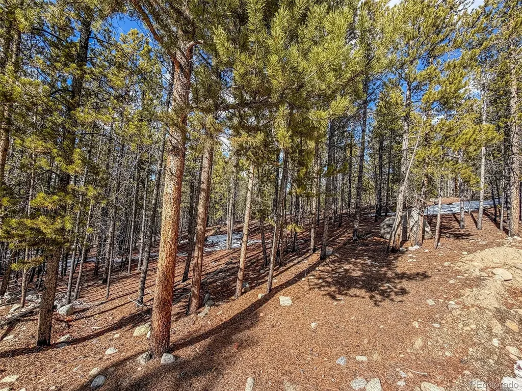 483 Mt Massive Road Twin Lakes CO 81251