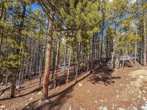 483 Mt Massive Road Twin Lakes CO 81251