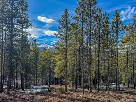 483 Mt Massive Road Twin Lakes CO 81251