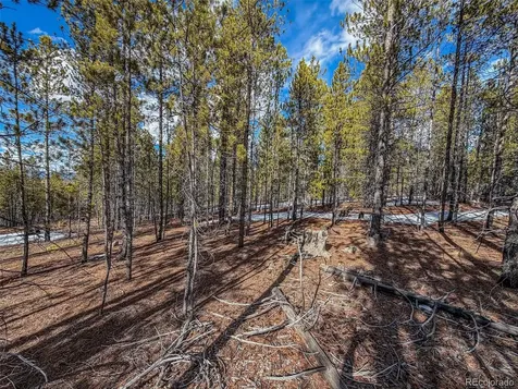 483 Mt Massive Road Twin Lakes CO 81251
