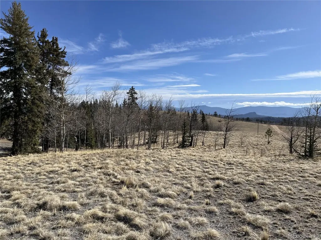 325 Shoshone Drive Como CO 80456