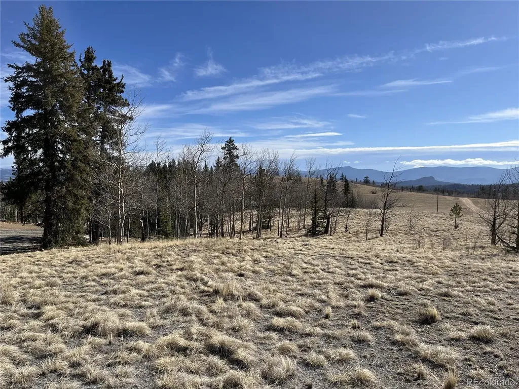 325 Shoshone Drive Como CO 80456