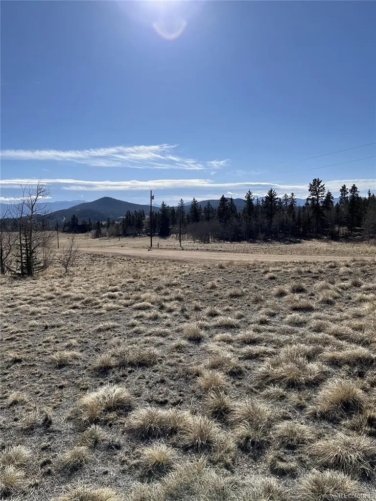 325 Shoshone Drive Como CO 80456