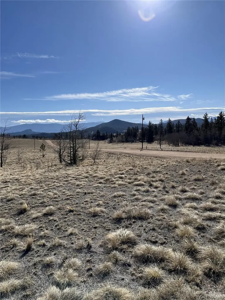 325 Shoshone Drive Como CO 80456