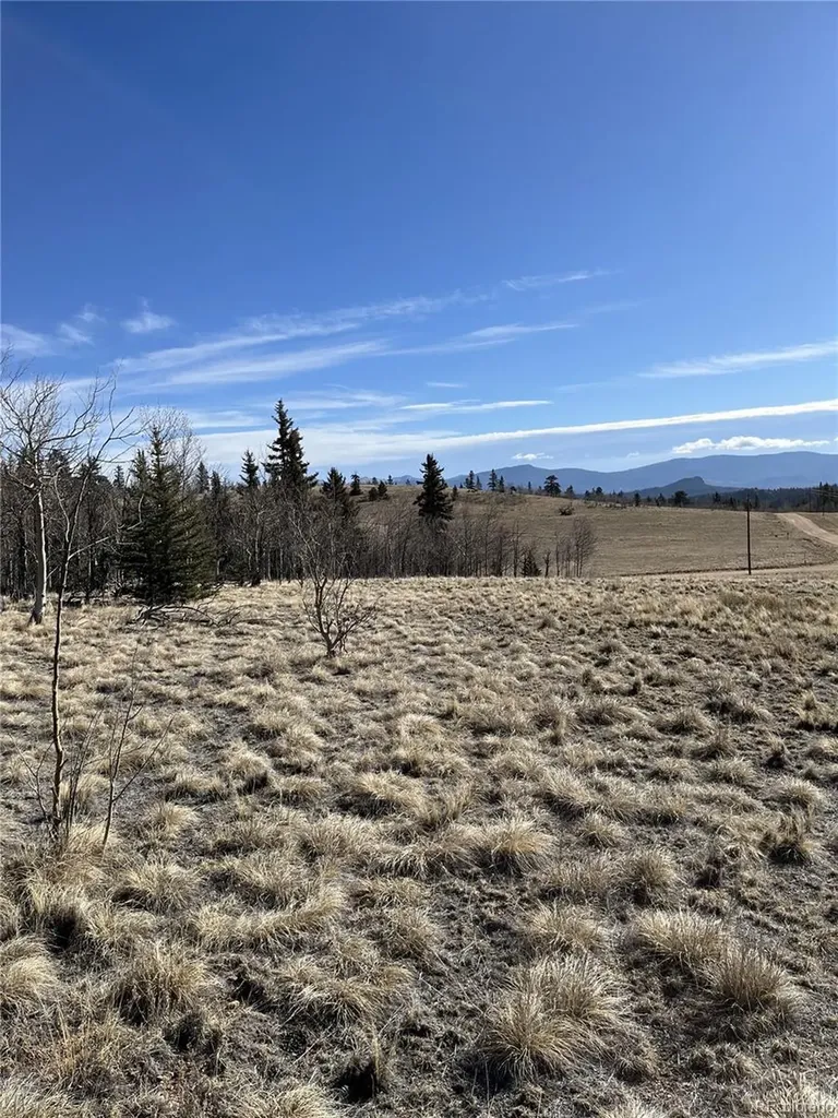 325 Shoshone Drive Como CO 80456