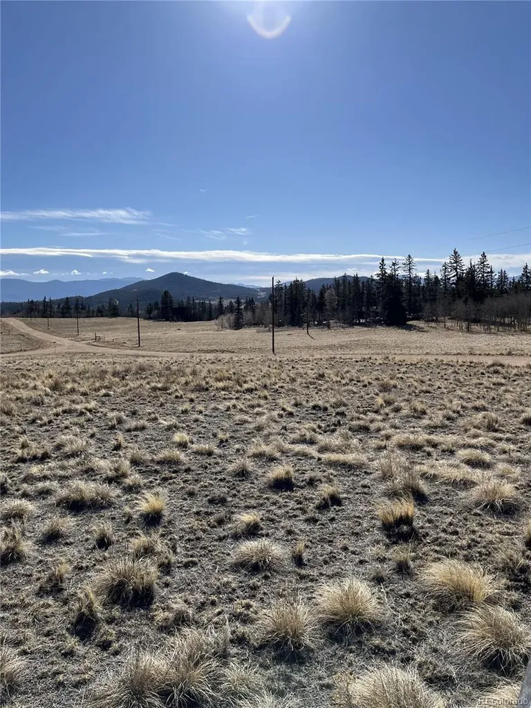 325 Shoshone Drive Como CO 80456