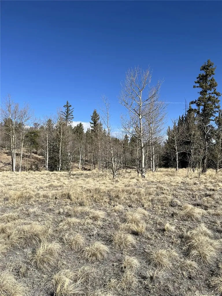 325 Shoshone Drive Como CO 80456
