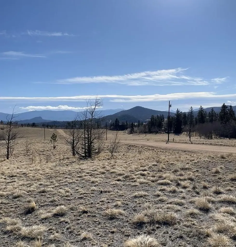 325 Shoshone Drive Como CO 80456