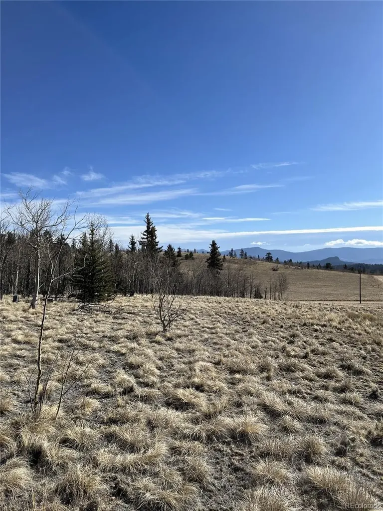325 Shoshone Drive Como CO 80456