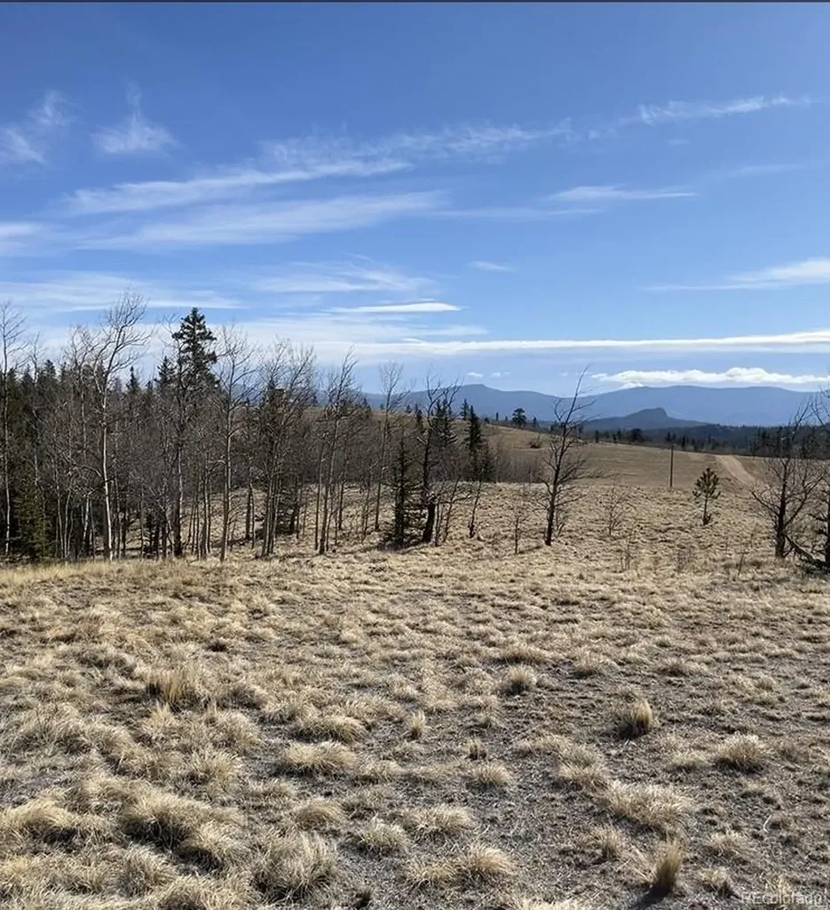 325 Shoshone Drive Como CO 80456