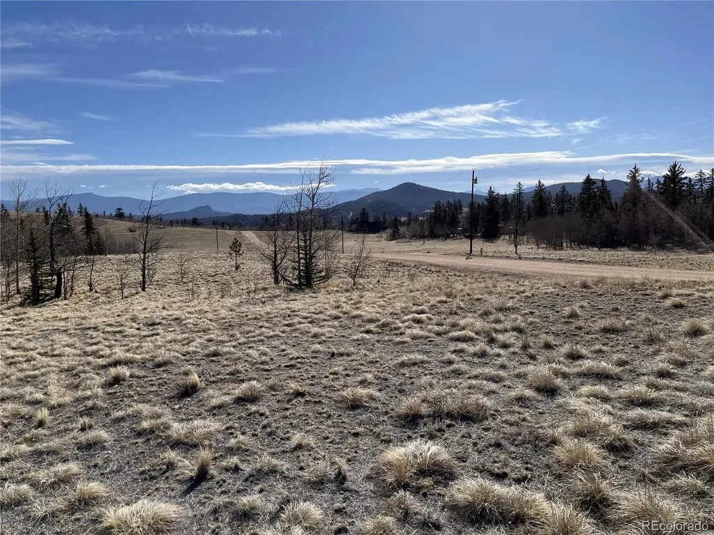 325 Shoshone Drive Como CO 80456