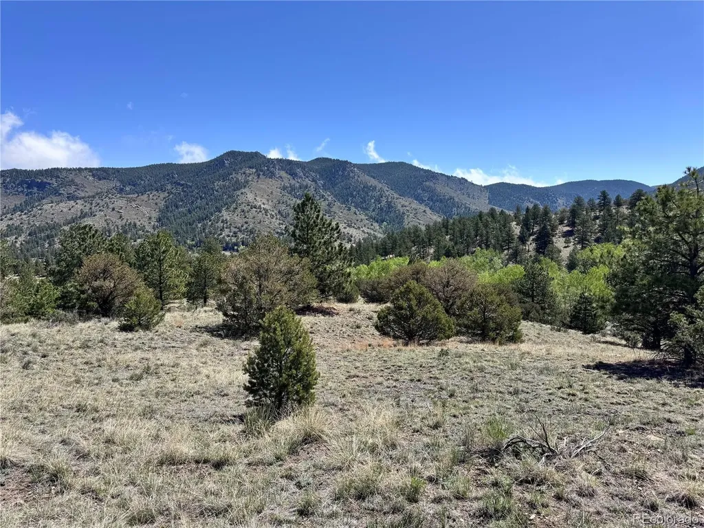 Dilley Road Westcliffe CO 81252