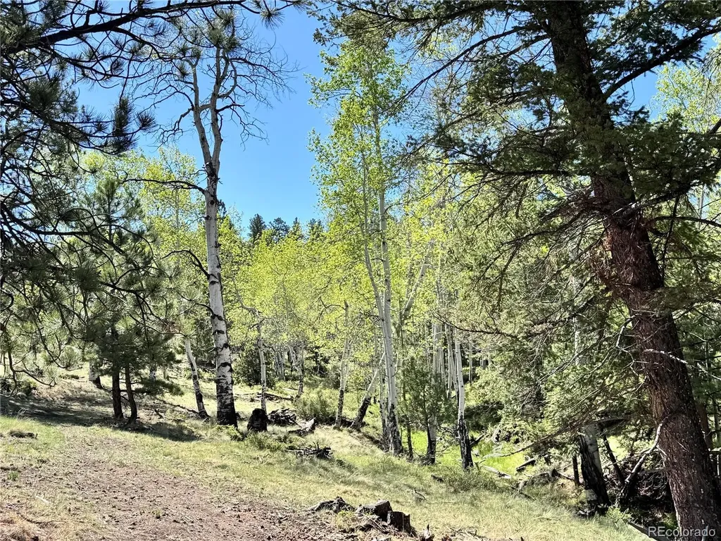 Dilley Road Westcliffe CO 81252