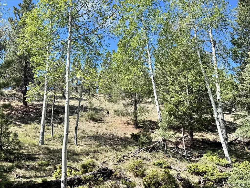 Dilley Road Westcliffe CO 81252