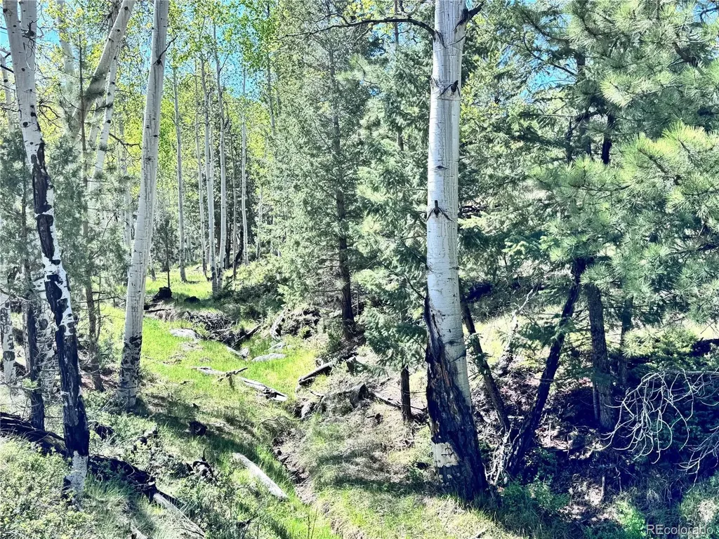 Dilley Road Westcliffe CO 81252