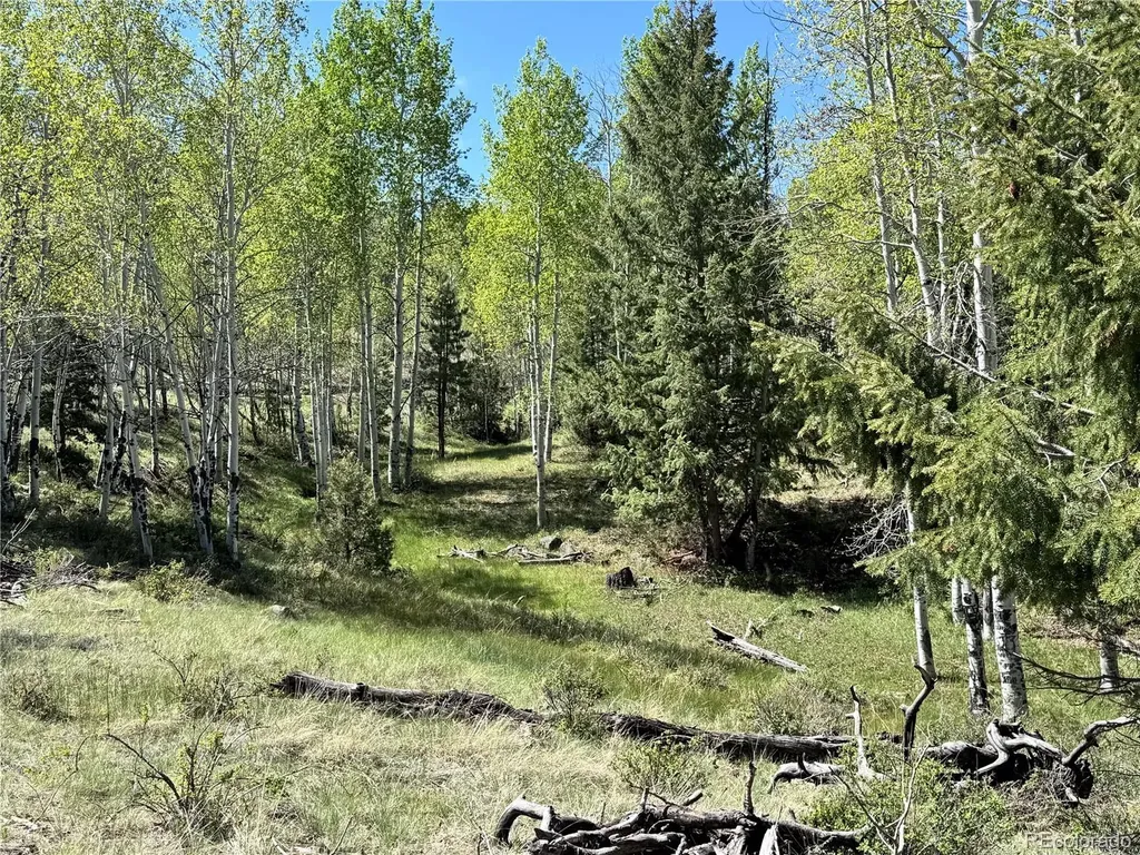 Dilley Road Westcliffe CO 81252