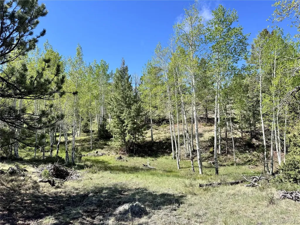 Dilley Road Westcliffe CO 81252
