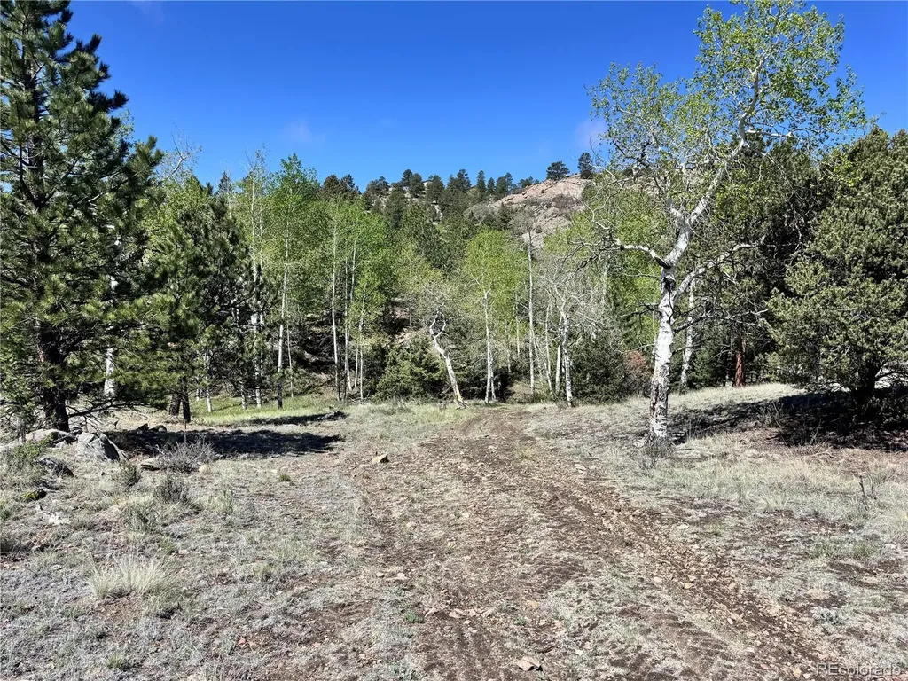 Dilley Road Westcliffe CO 81252