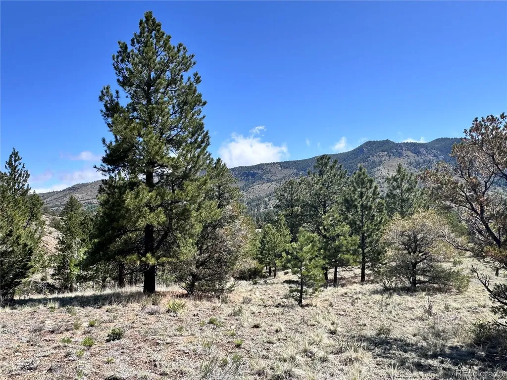 Dilley Road Westcliffe CO 81252