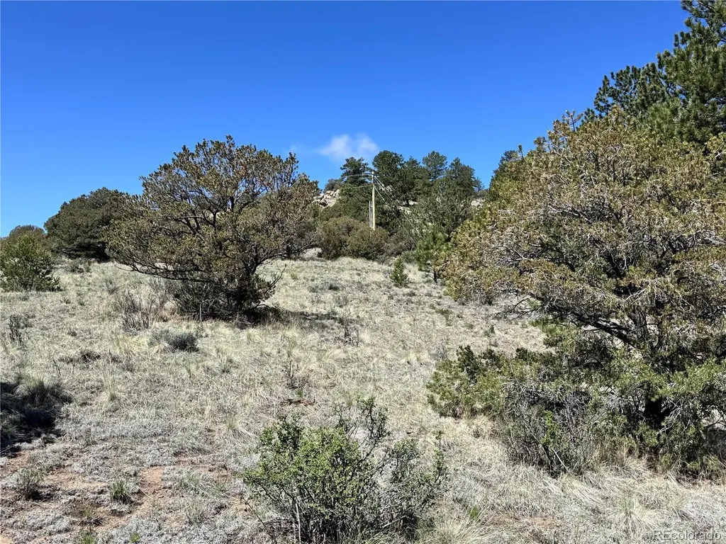 Dilley Road Westcliffe CO 81252