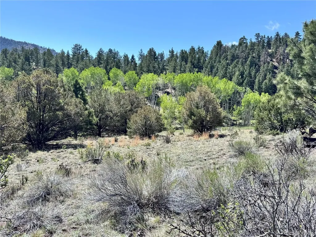 Dilley Road Westcliffe CO 81252