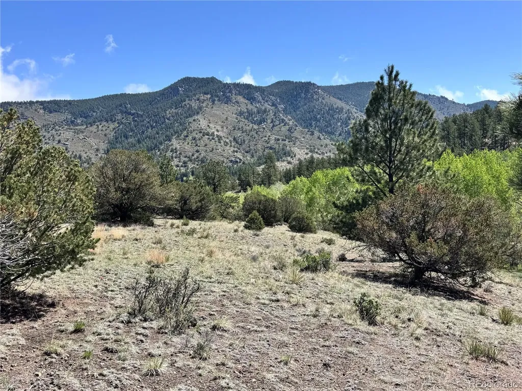 Dilley Road Westcliffe CO 81252