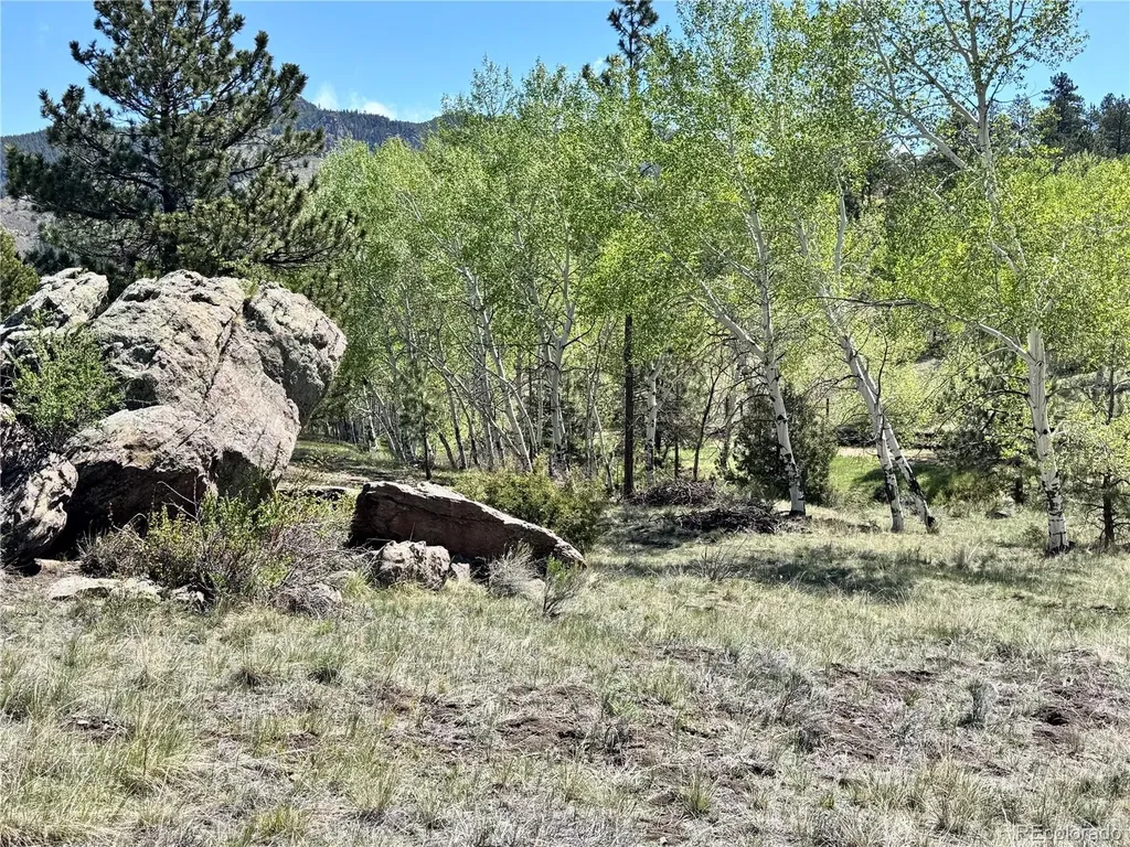 Dilley Road Westcliffe CO 81252