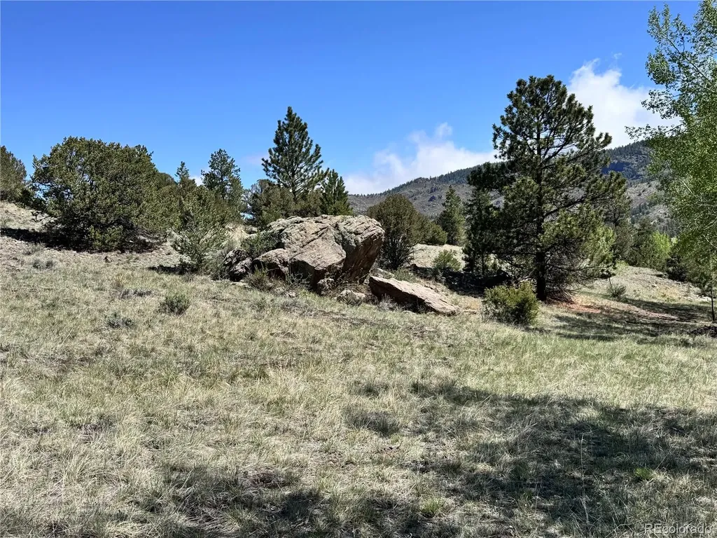 Dilley Road Westcliffe CO 81252