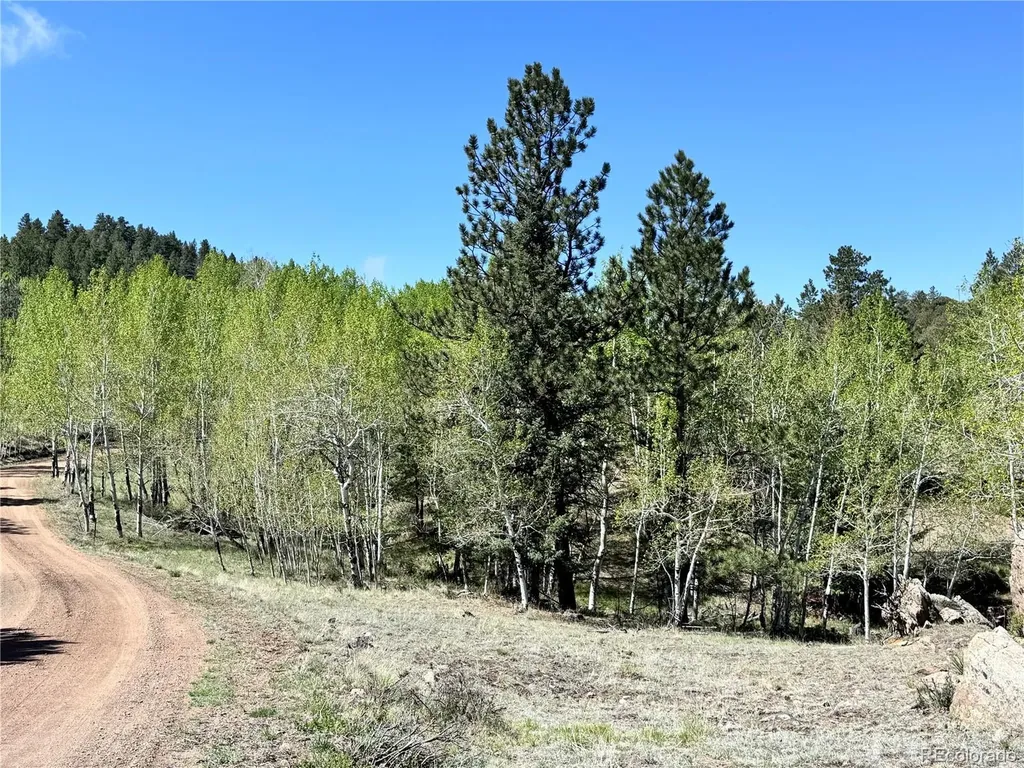 Dilley Road Westcliffe CO 81252