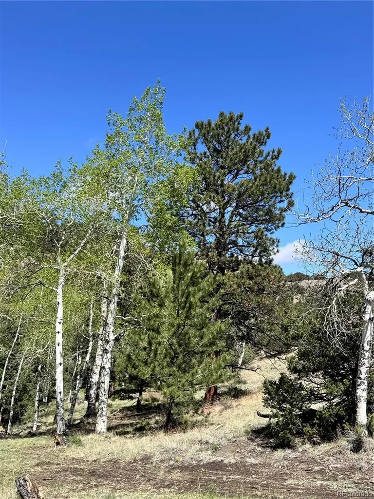 Dilley Road Westcliffe CO 81252