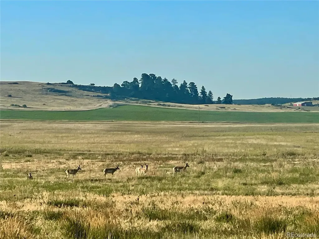 Craven Lot 1 Elbert CO 80106