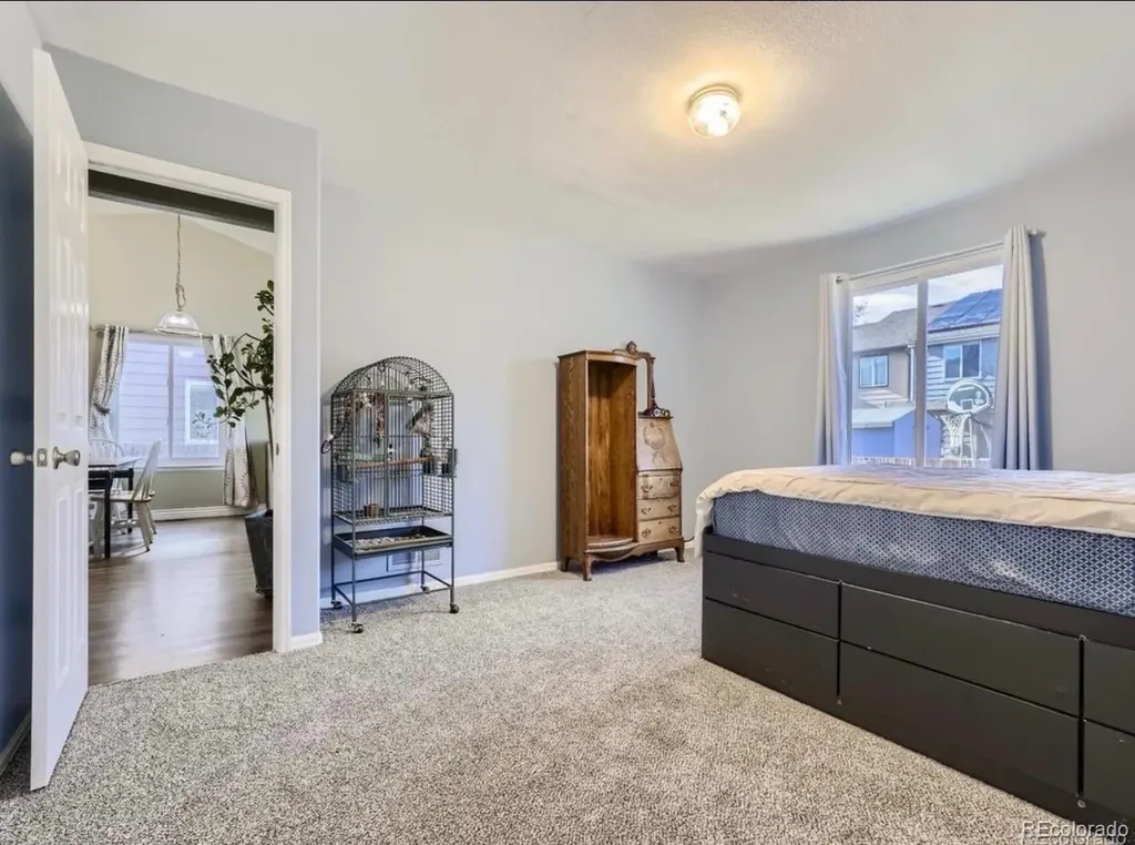 4537 Cornish Way Denver CO 80239