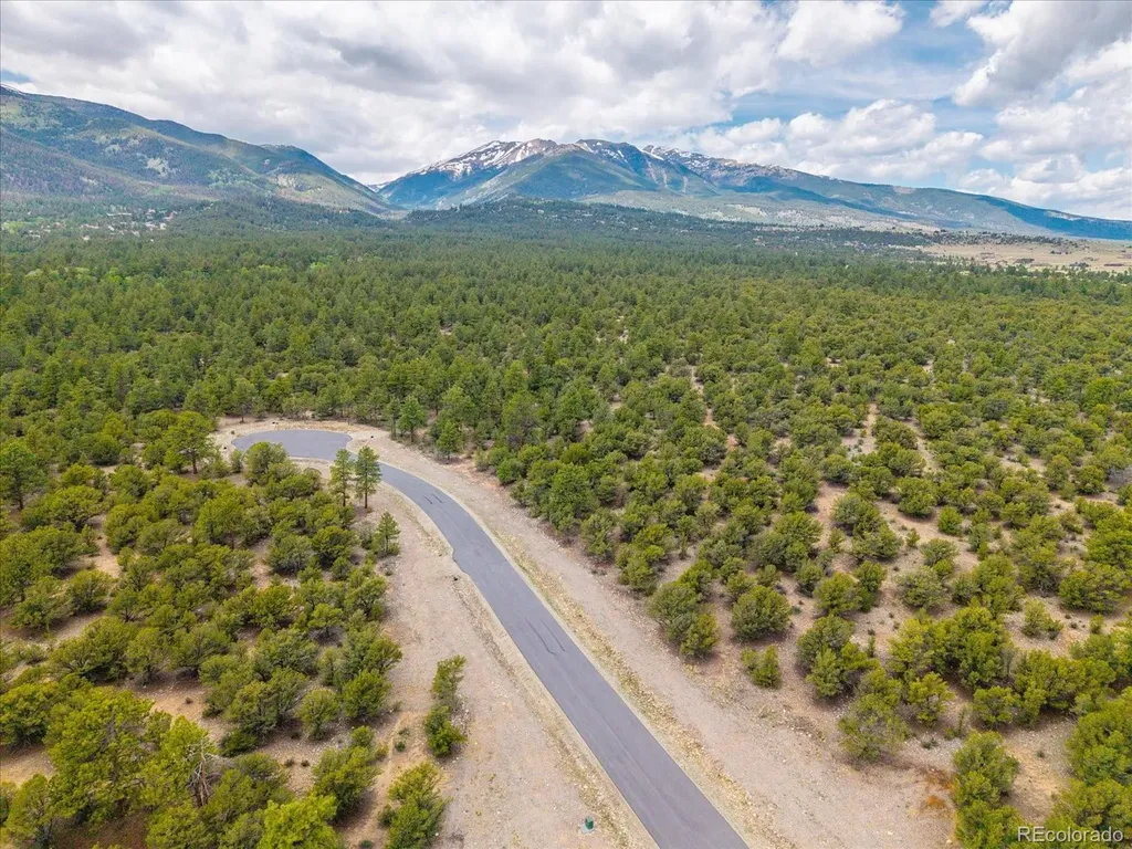 29269 Timber Ridge Buena Vista CO 81211