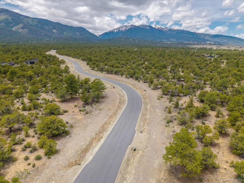 29269 Timber Ridge Buena Vista CO 81211