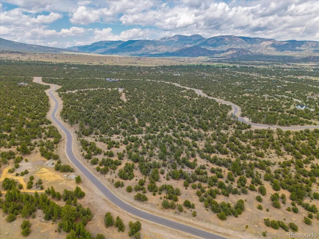 29269 Timber Ridge Buena Vista CO 81211