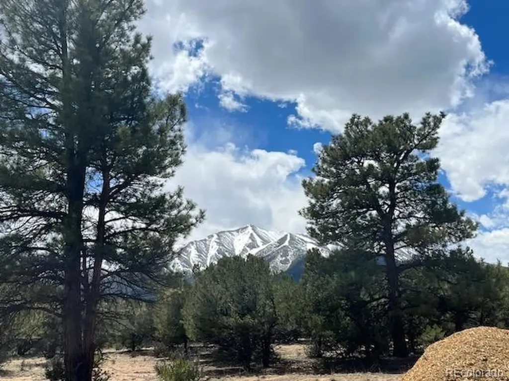 29269 Timber Ridge Buena Vista CO 81211