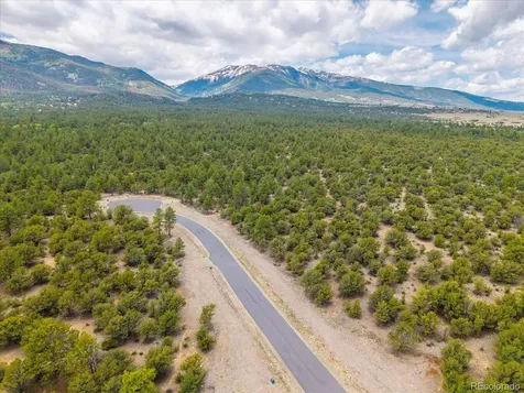 29269 Timber Ridge Buena Vista CO 81211
