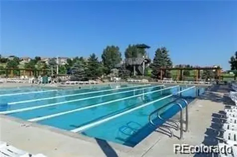 943 Oleander Street Castle Rock CO 80109