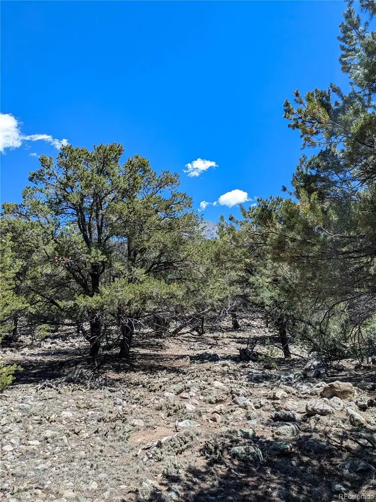 1704 Willow Creek Way Crestone CO 81131